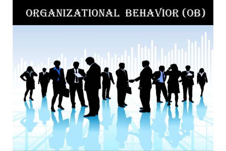 Organisational Behaviour (NEW)