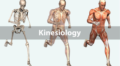 Kinesiology I