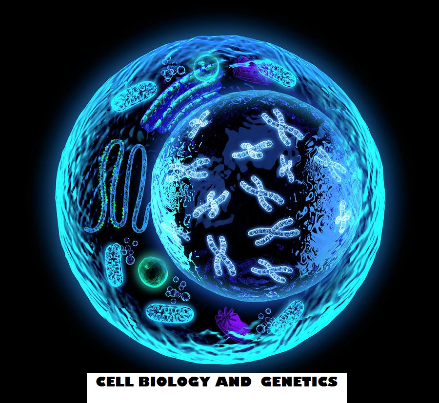 Cell Biology And Genetics