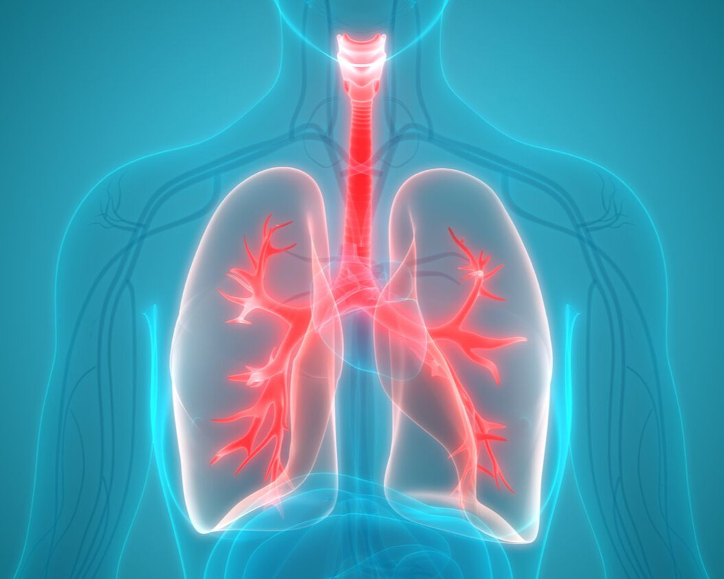 ODL Applied Anatomy and Physiology of Cardiorespiratory System