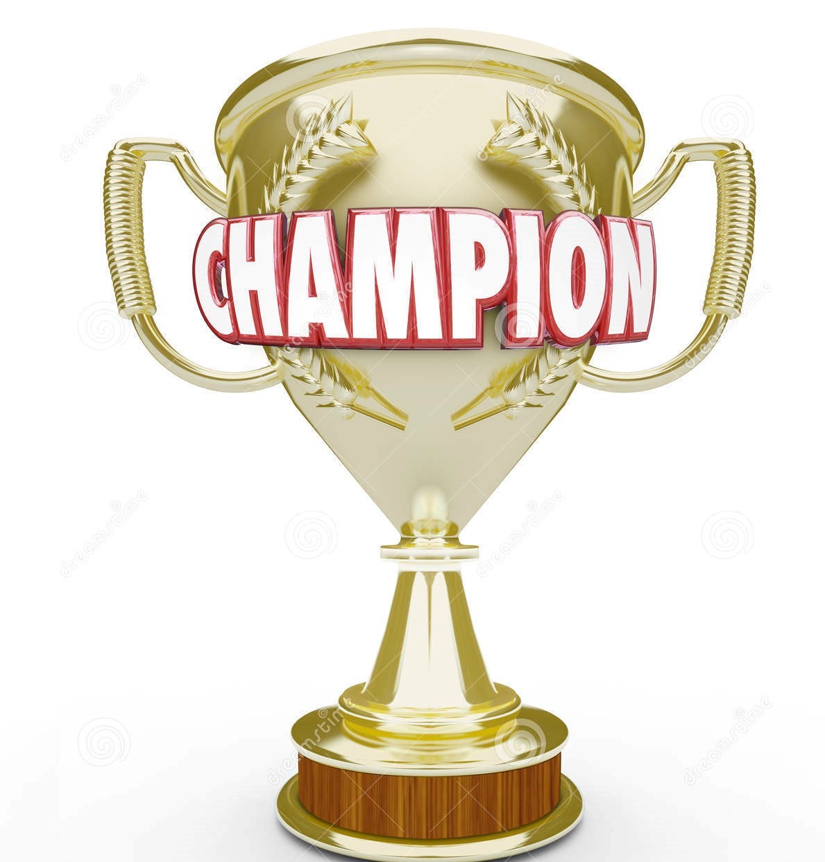 e-Champion (FBFIT)