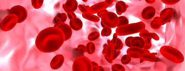 Basic Haematology 