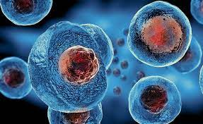 Stem cell Technology